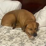 Echo Hale - @jackajacka2024 - Instagram