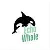 Echo Whale - @echo_whale - TikTok