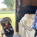 Echo Louise Hamilton - Facebook