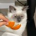Echo Hao - Facebook