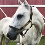 Echo Hill Farm - @echohill.farm - Instagram