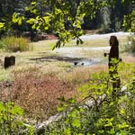 Echo Hill Homestead - @echo.hill.farms - Instagram
