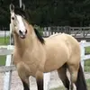 Echohoof Farm - @echohoof..farm - TikTok