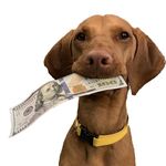 Echo Holmes - @trickyvizslas - Instagram