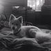 Echo Jackson - Facebook