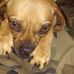 Echo Jackson - Facebook