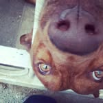 Echo Jackson - @myopicecho - Instagram