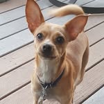 echo jensen - @echojensen620 - Instagram