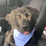 Echo Dot jones - @echo.dot2020 - Instagram