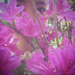Echo jones - @echo_jones - Instagram