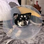 Echo jones - @leggo_my_echo_ - Instagram