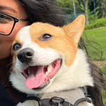 Echo the Corgi🗣️📣🐶🐾 - @echo.the.corgi.king - Instagram