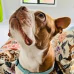 Echo Kramer - Facebook