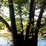 Uschi Krämer - Facebook