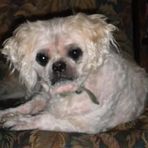 Echo K Todd Ladd - Facebook