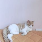 Echo Lai - @lai_echo - Instagram