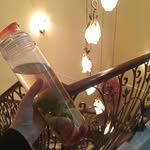 Echolambert - @echolambert3 - Instagram