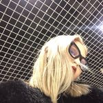 ECHO - @echolauxy - Instagram