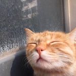 Echo Lau - @wengiecho - Instagram