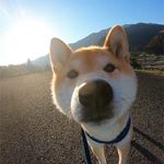 Echo Liu - @echo__lau__ - Instagram