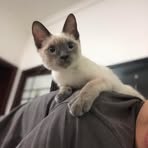 Lee Echo - Facebook