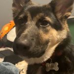 Echo - @echo_lewis123 - Instagram