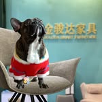 Echo Liao - @echo.liao297 - Instagram