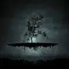 echoliao8 - @echoliao8 - TikTok