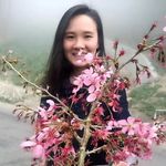 @echo_lin - Instagram