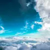 。 - @echo_liu07 - TikTok