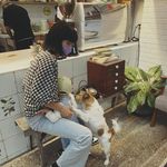Echo Liu - @echoliu610 - Instagram