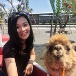 Echo Liu - @echo.l.711 - Instagram