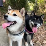 Echo & Lunala - @echolunala - Instagram