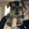 Echo Lucero - @echo.lucero56 - TikTok