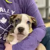 Caitlin MacKenzie505 - @echo_the_pit - TikTok