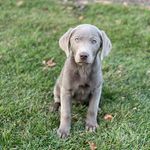 Echo - @echo.mae.holsten - Instagram