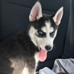 Echo - @echo_mae_ - Instagram