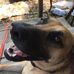 Echo Marshall - Facebook