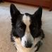 Echo Marshall - Facebook