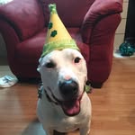 Echo Martin - @echo_the_deafy - Instagram