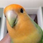Echo martinez - @_echothebird_ - Instagram