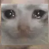 Echo Mayo - @echomayonnaise - TikTok