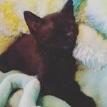 Echo Miller - @delta_echo_foxtrot - Instagram