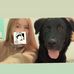 Echo Miller - Facebook