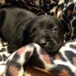Echo Parks Miller - @echo_at_the_disco - Instagram