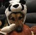 Echo Mitchell - Facebook