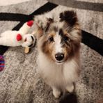 Echo Moore - Facebook