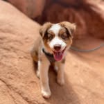 Echo May Morgan - @echo.theaussie1 - Instagram