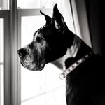 Carrie Morris - @carrie.morris.echo - Instagram