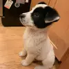 echomorris311 - @echomorris311 - TikTok